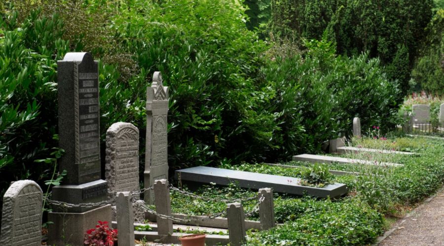 allée d'un cimetière